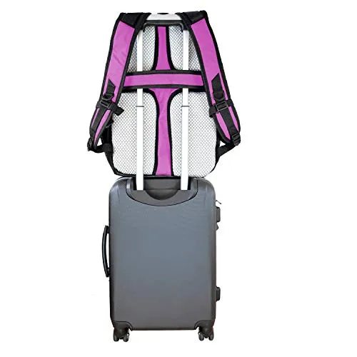 Denco NBA San Antonio Spurs Voyager Laptop Backpack, 19-inches, Pink